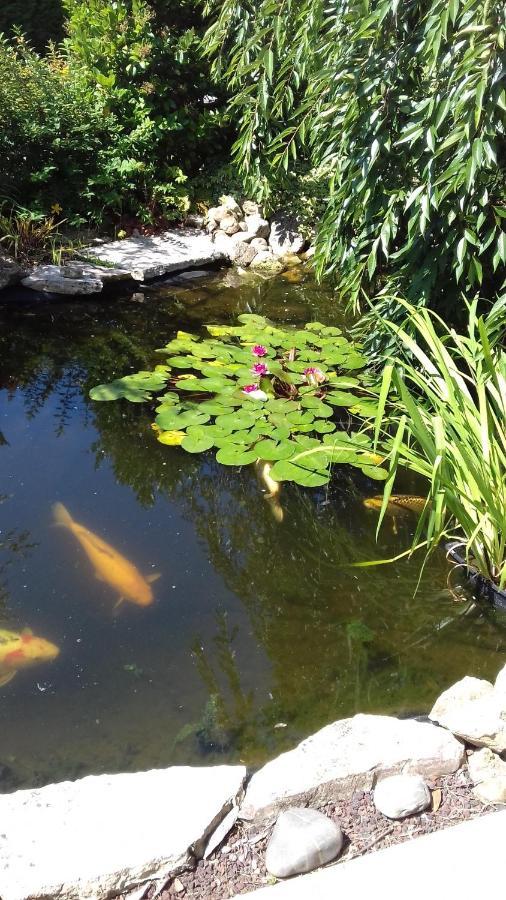 Le Jardin De Nemo Bed & Breakfast Biscarrosse Eksteriør bilde