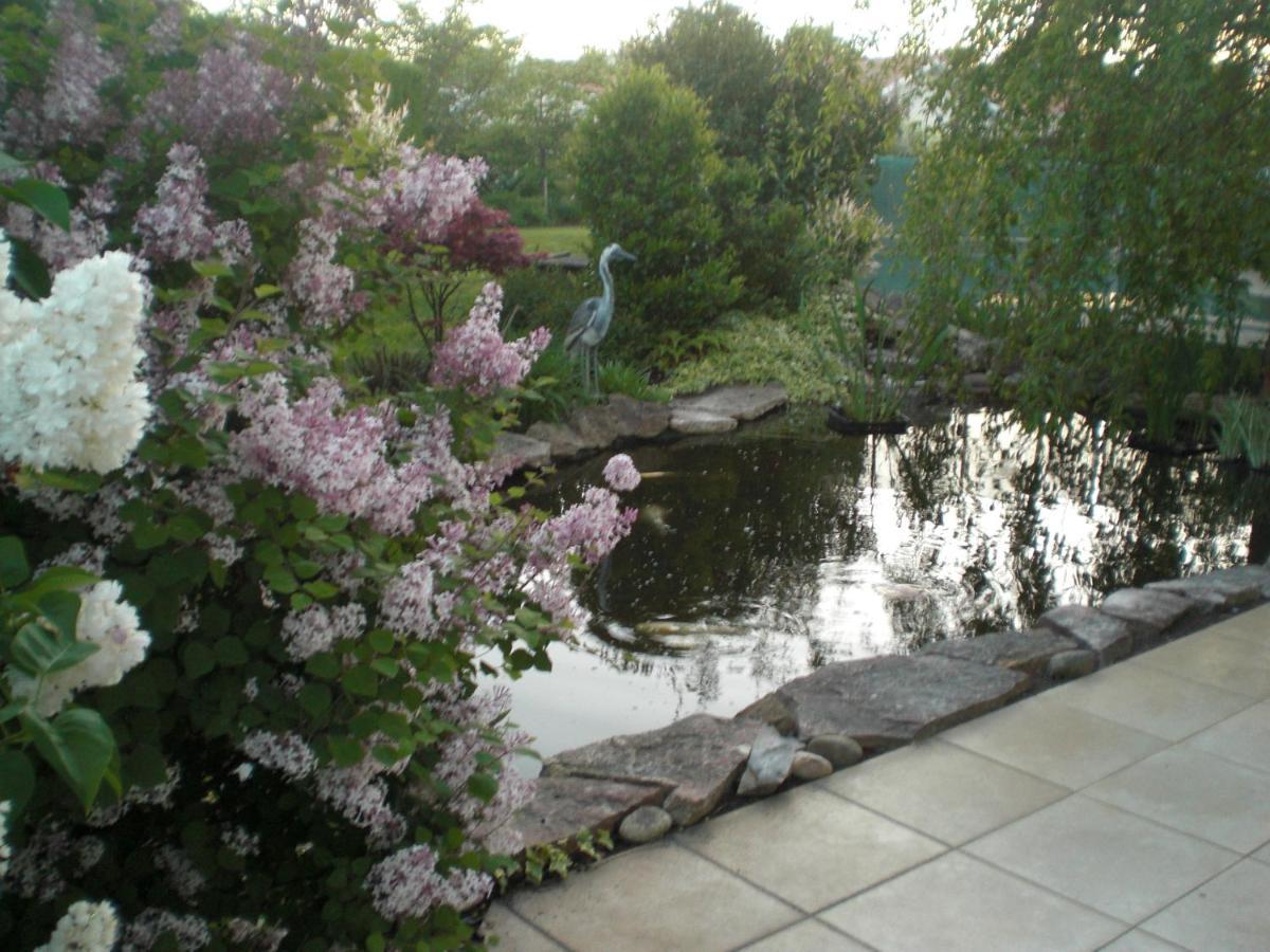 Le Jardin De Nemo Bed & Breakfast Biscarrosse Eksteriør bilde