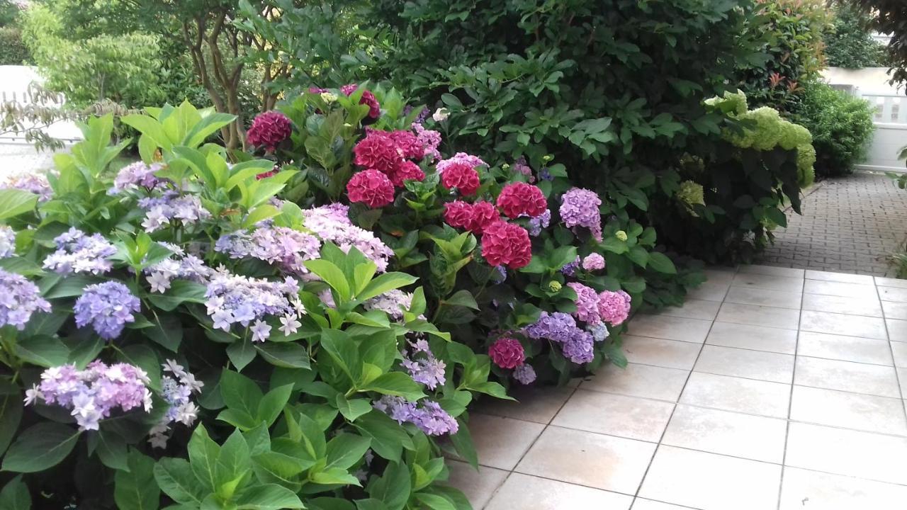 Le Jardin De Nemo Bed & Breakfast Biscarrosse Eksteriør bilde